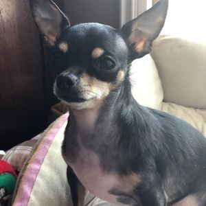 Meet your Posher, Joanna